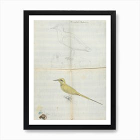 2 Birds Aroust El Bahar, Luigi Balugani Art Print