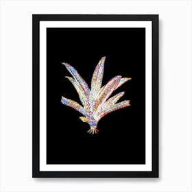 Stained Glass Boat Lily Mosaic Botanical Illustration on Black Art Print