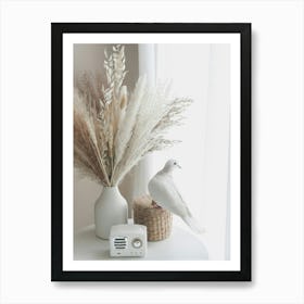 Dove On A Table Art Print