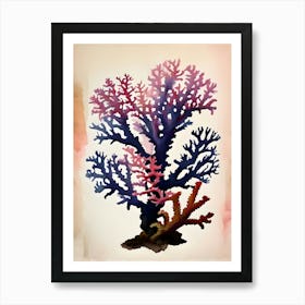 Acropora Nasuta Vintage Graphic Watercolour  Art Print