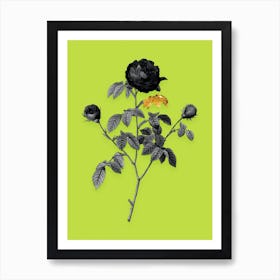 Vintage Agatha Rose in Bloom Black and White Gold Leaf Floral Art on Chartreuse n.0990 Art Print