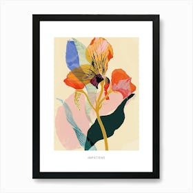 Colourful Flower Illustration Poster Impatiens 4 Art Print