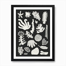 Coastal Flora (Dark Colourway) Art Print