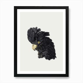 Parrot Vintage Bird Art Print_2835796 Art Print