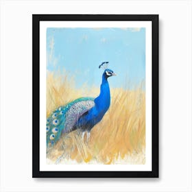 Peacock Walking Through The Grass 2 Art Print