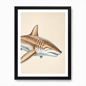 Sand Tiger Shark 2 Vintage Art Print