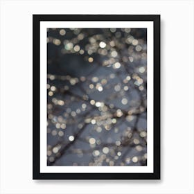 Midnight Christmas Sparkle Poster