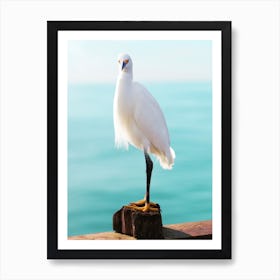 White Heron Art Print