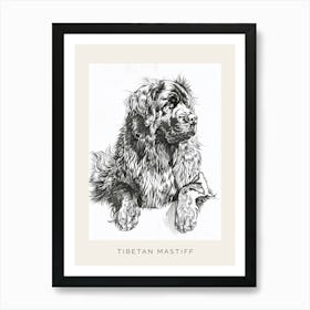 Tibetan Mastiff Dog Line Sketch 2 Poster Art Print