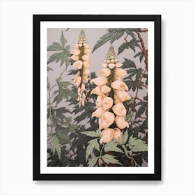 Flower Illustration Aconitum 3 Art Print