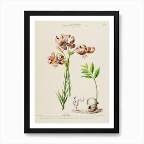 Lily Of The Valley 18 Art Print