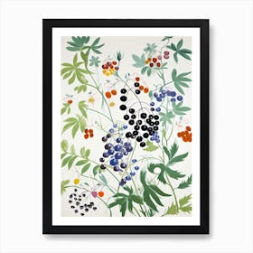 Gooseberry Fruit Drawing 3 Art Print