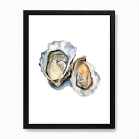 Watercolor Illustration Of Oysters Art Print