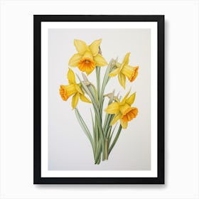 Daffodils Flower Vintage Botanical 0 Art Print