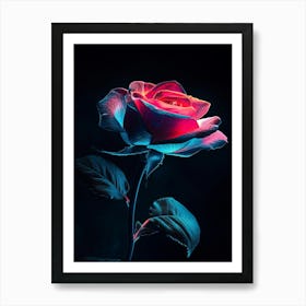 Rose In The Dark Poster