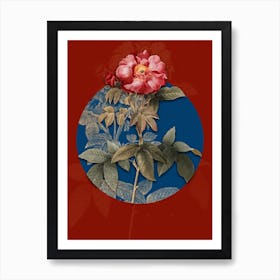 Vintage Botanical Provins Rose on Circle Blue on Red n.0095 Art Print