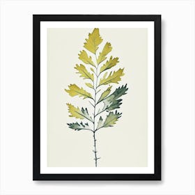 Wood Betony Leaf Minimalist Watercolour 2 Art Print