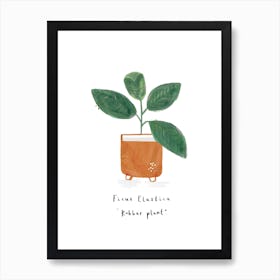 Rubber Plant Art Print