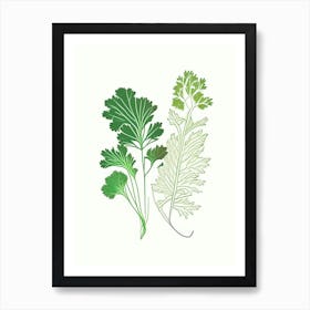 Parsley Spices And Herbs Minimal Line Drawing 4 Art Print