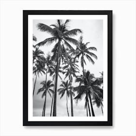 Black And White Palms Holiday Photo Art Print