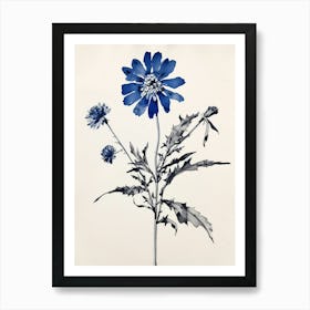 Blue Botanical Edelweiss Poster