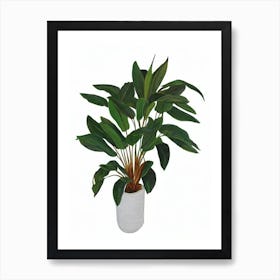 Ti Plant (Cordyline Terminalis) Watercolor Art Print