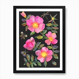 Wildrose Black Art Print