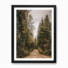 Woodland Forest Road Art Print