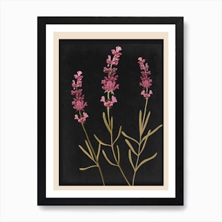 Sprigs Of Lavender 2 Art Print