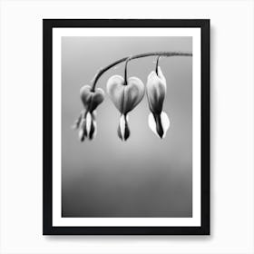 Be Still My Heart Black And White Art Print