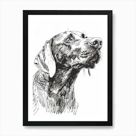 Weimaraner Dog Line Sketch 2 Poster