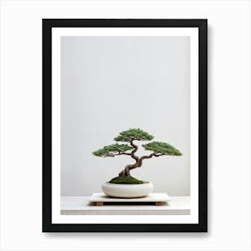 Small Bonsai Tree Minimalist Aesthetic Soft Shadows Cast On Neutral Background Serene And Tranqui Affiche