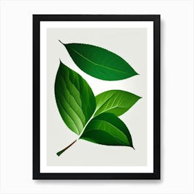 Stevia Leaf Vibrant Inspired 4 Art Print