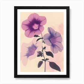 Beautiful Petunia Plant Art Print