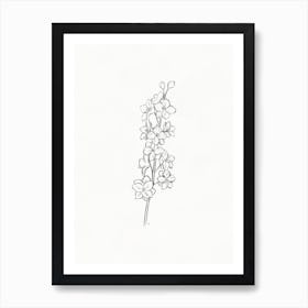 Larkspur Pencil Sketch Art Print