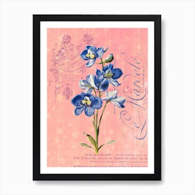 Floral Garden 6 Art Print