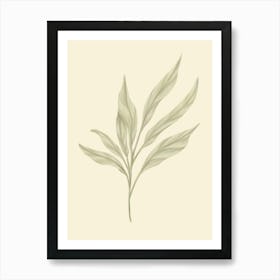 Eucalyptus 15 Art Print