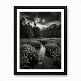 Black And White Landscape Art Print