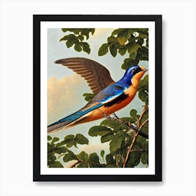 Swallow Haeckel Style Vintage Illustration Bird Art Print