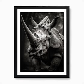 Black And White Photograph Of A Triceratops 2 Art Print