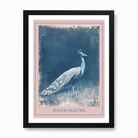 Blue Peacock In A Field Cyanotype Inspired Poster Art Print