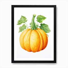 Turban Squash Pumpkin Watercolour Illustration 4 Art Print