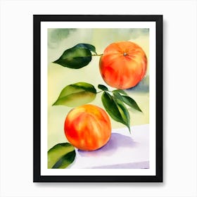 Grapefruit 2 Italian Watercolour fruit Art Print