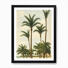 Four Mile Beach Australia Vintage Art Print