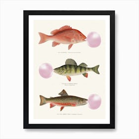 Bubblegum Fish Green & Pink Art Print