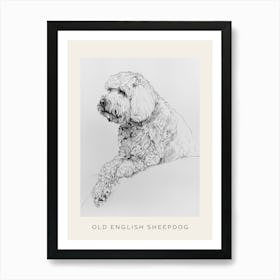 Old English Sheepdog Line Sketch 3 Poster Art Print