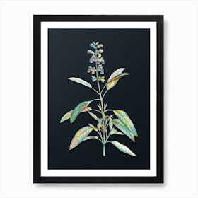 Vintage Sage Plant Botanical Watercolor Illustration on Dark Teal Blue n.0733 Art Print