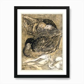 Two Sleeping Ducks (1878–1909), Theo Van Hoytema Art Print