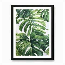 Monstera Leaves 8 Art Print