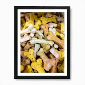 DOG COOKIES 20240316170519PUB 1 Art Print